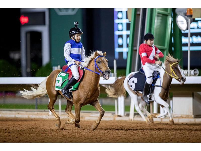  btwlh-albwny-latfal-almdars