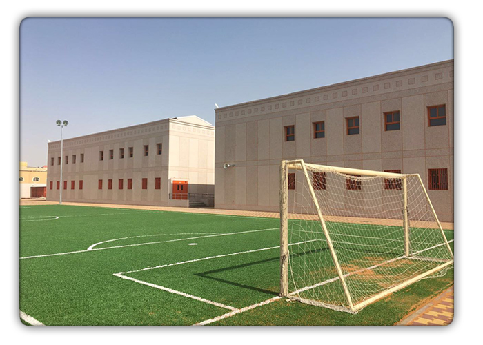 new-buld-1438 (2).jpg